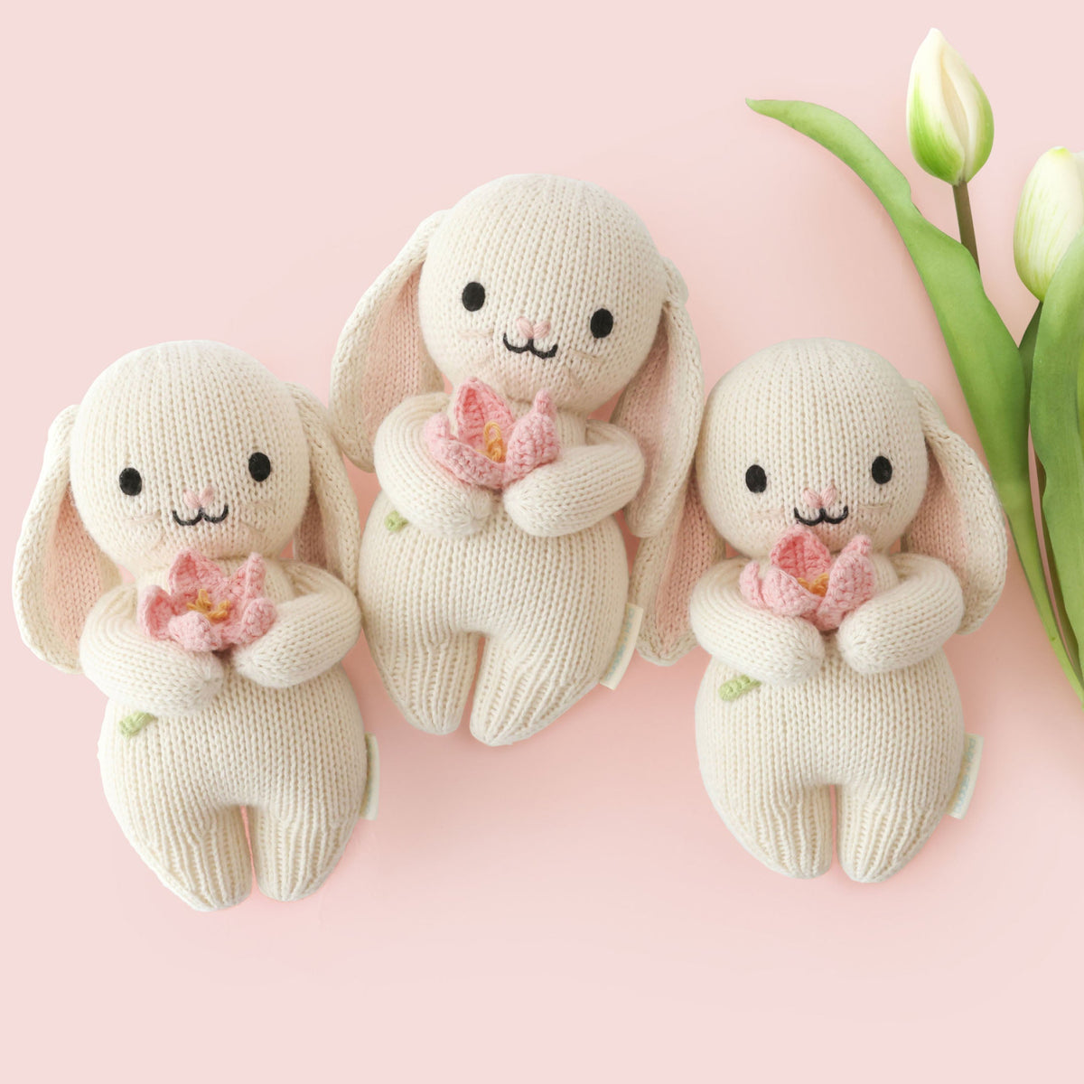 Baby bunny | blooming tulip