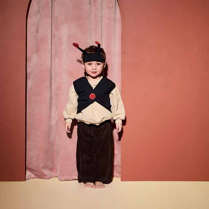 Kids Concept Ladybug Dress up