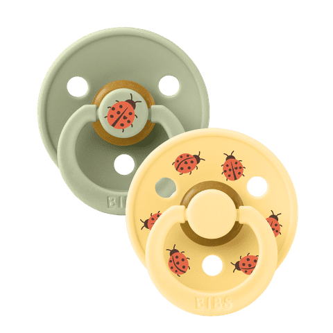 Urban Garden | Ladybug