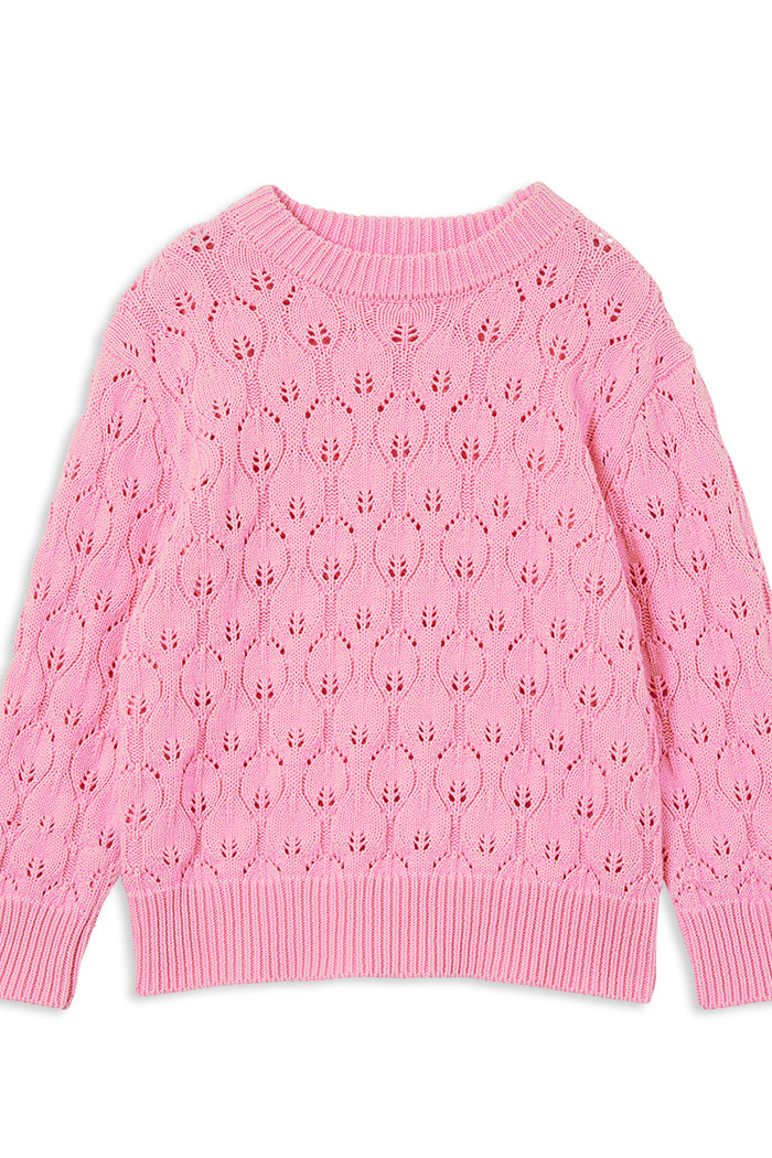 Bubblegum Knit Jumper