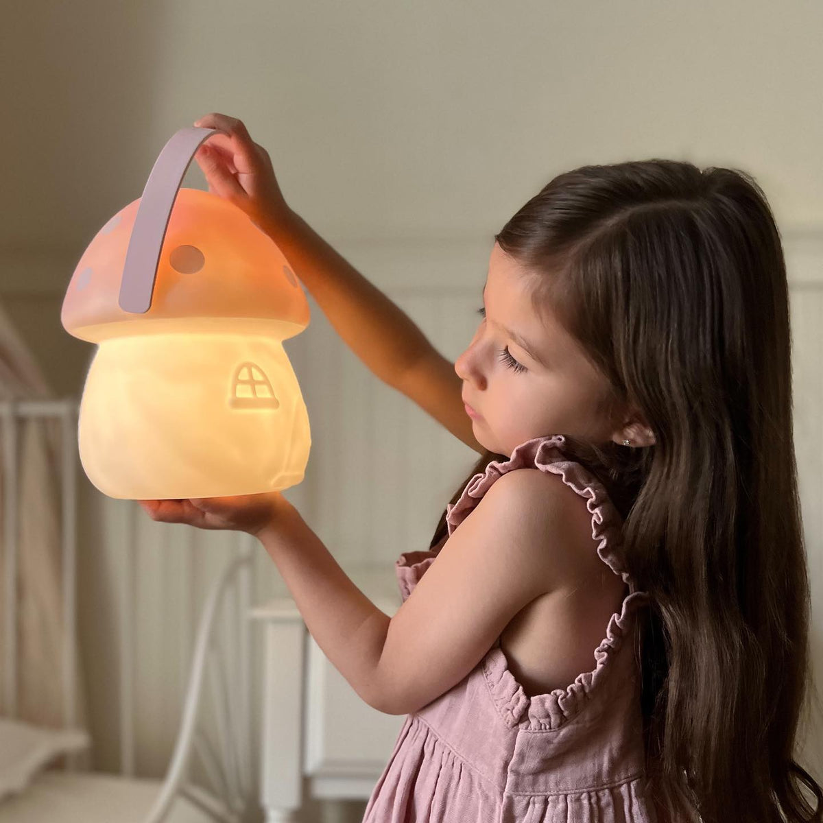 Fairy Carry Lantern | Pink &amp; White