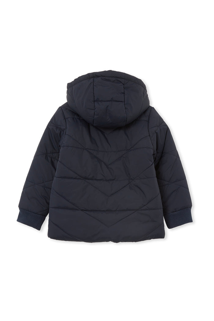 Navy Hooded Puffer Jacket