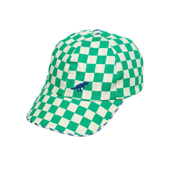 Dinosaur Check Cap 3-6 Years