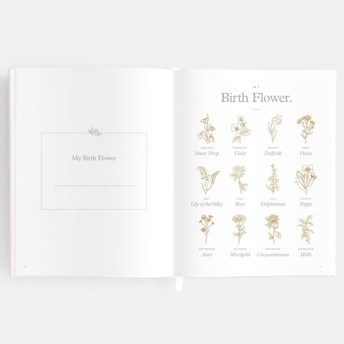 Baby Book Forest Friends Peony - 3rd Edition