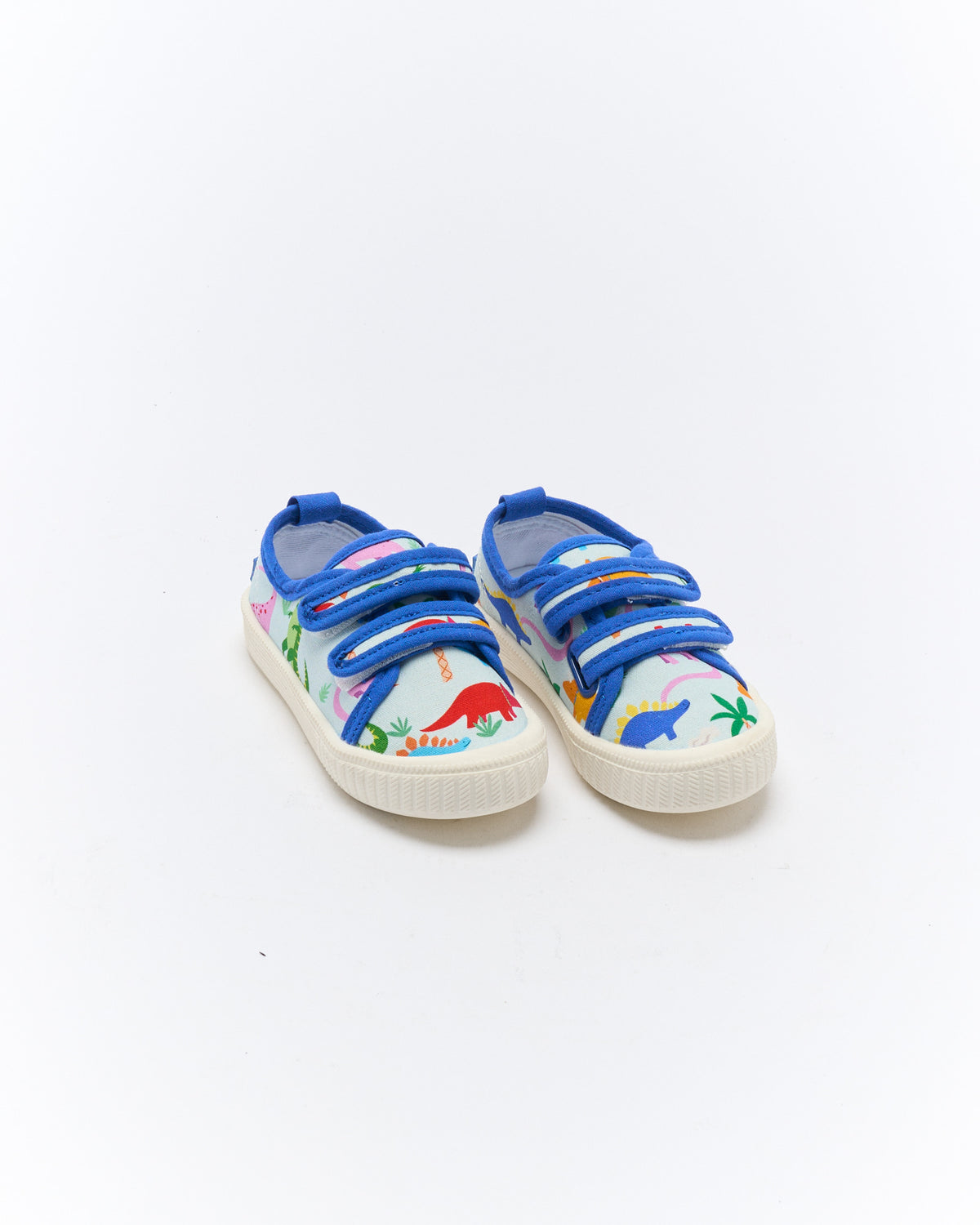Ben Canvas | Rainbow Dino