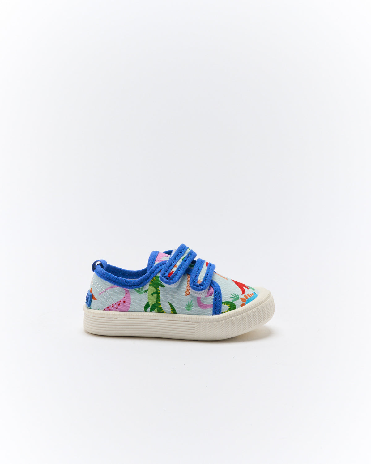 Ben Canvas | Rainbow Dino