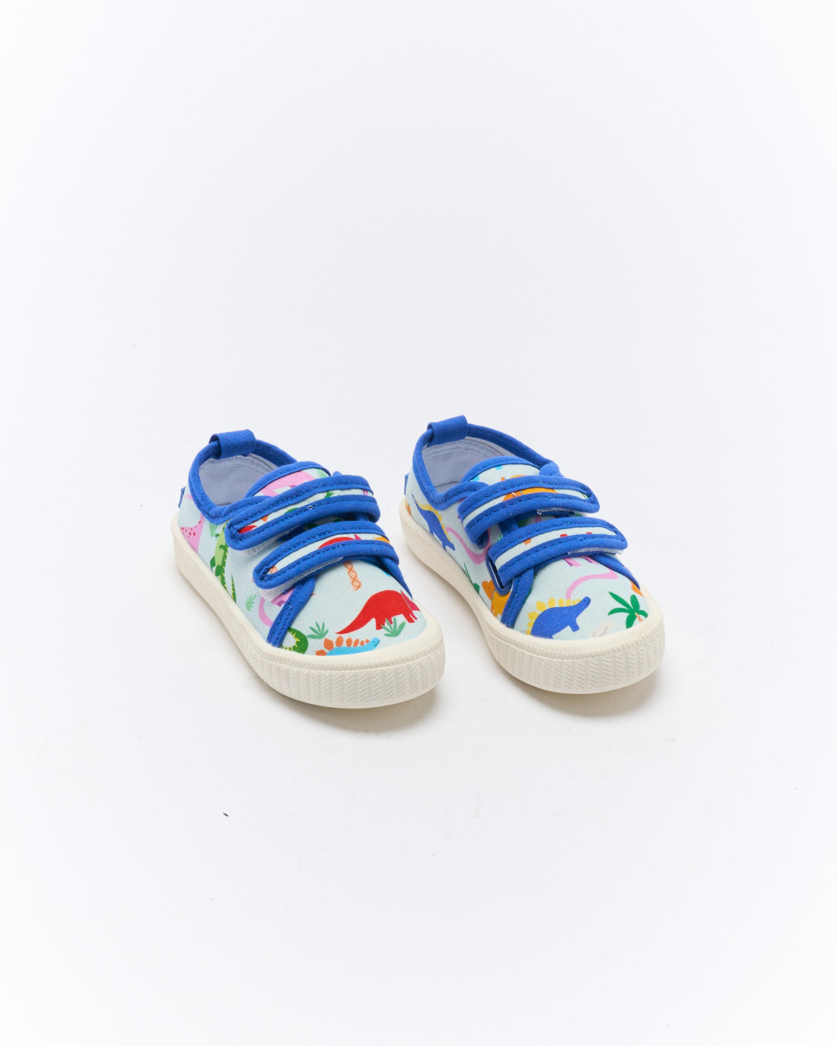 Ben Canvas | Rainbow Dino
