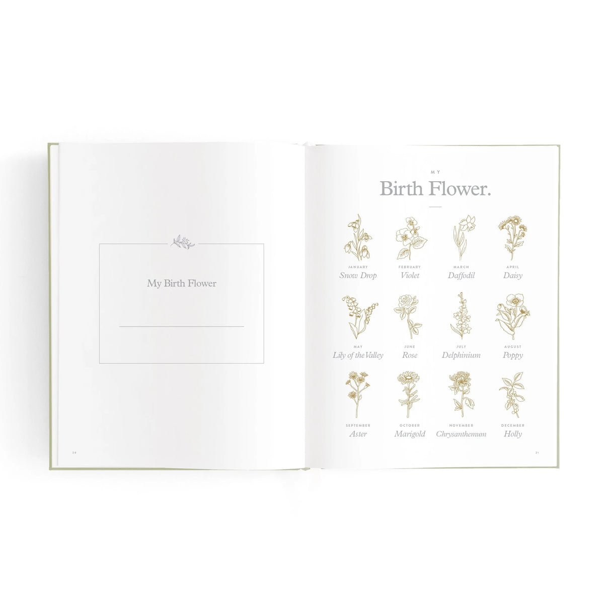 Mini Baby Book | Lilac