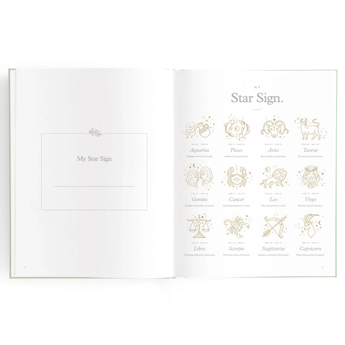 Baby Book Blue Ducks | 3rd Edition