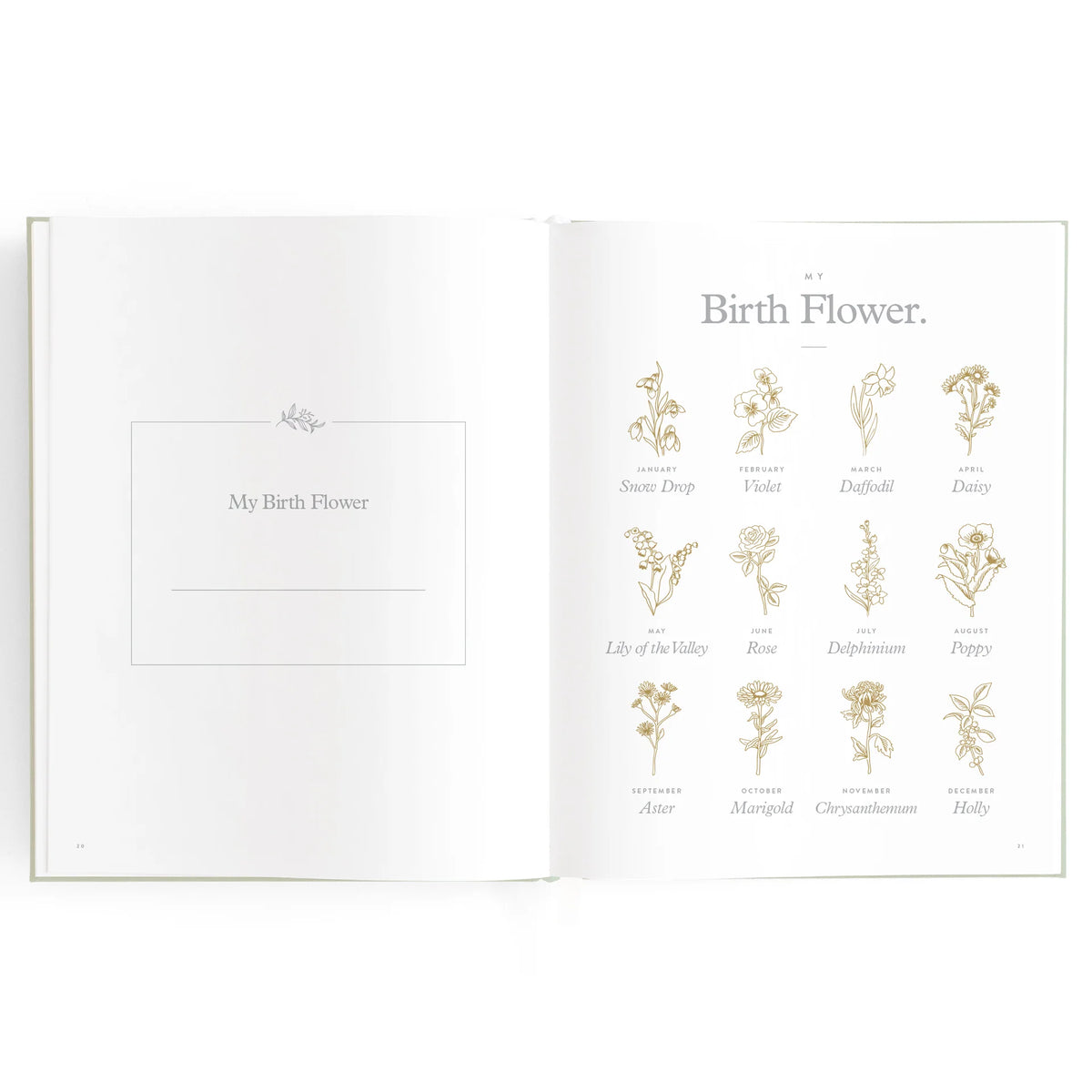 Baby Book Blue Ducks | 3rd Edition