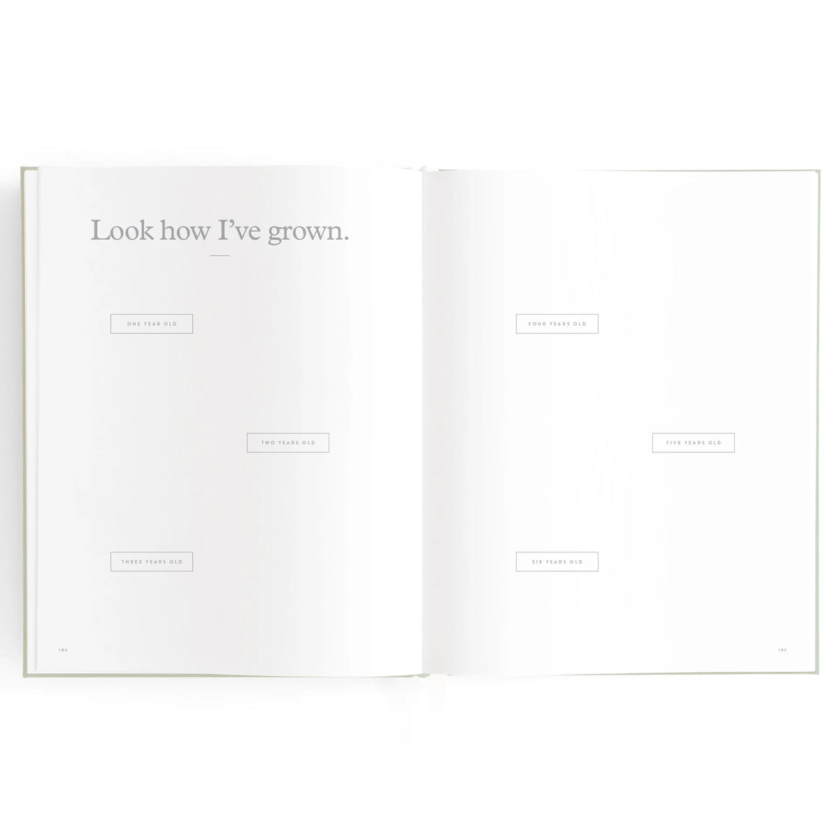 Baby Book Pink Ducks | 3rd Edition
