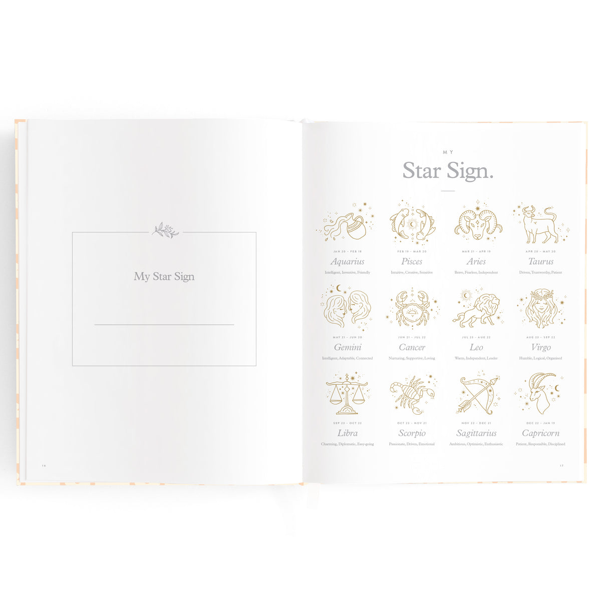 Baby Book Daisy Grid