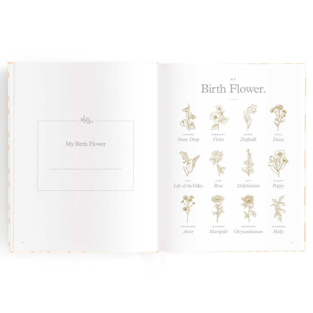 Baby Book Daisy Grid