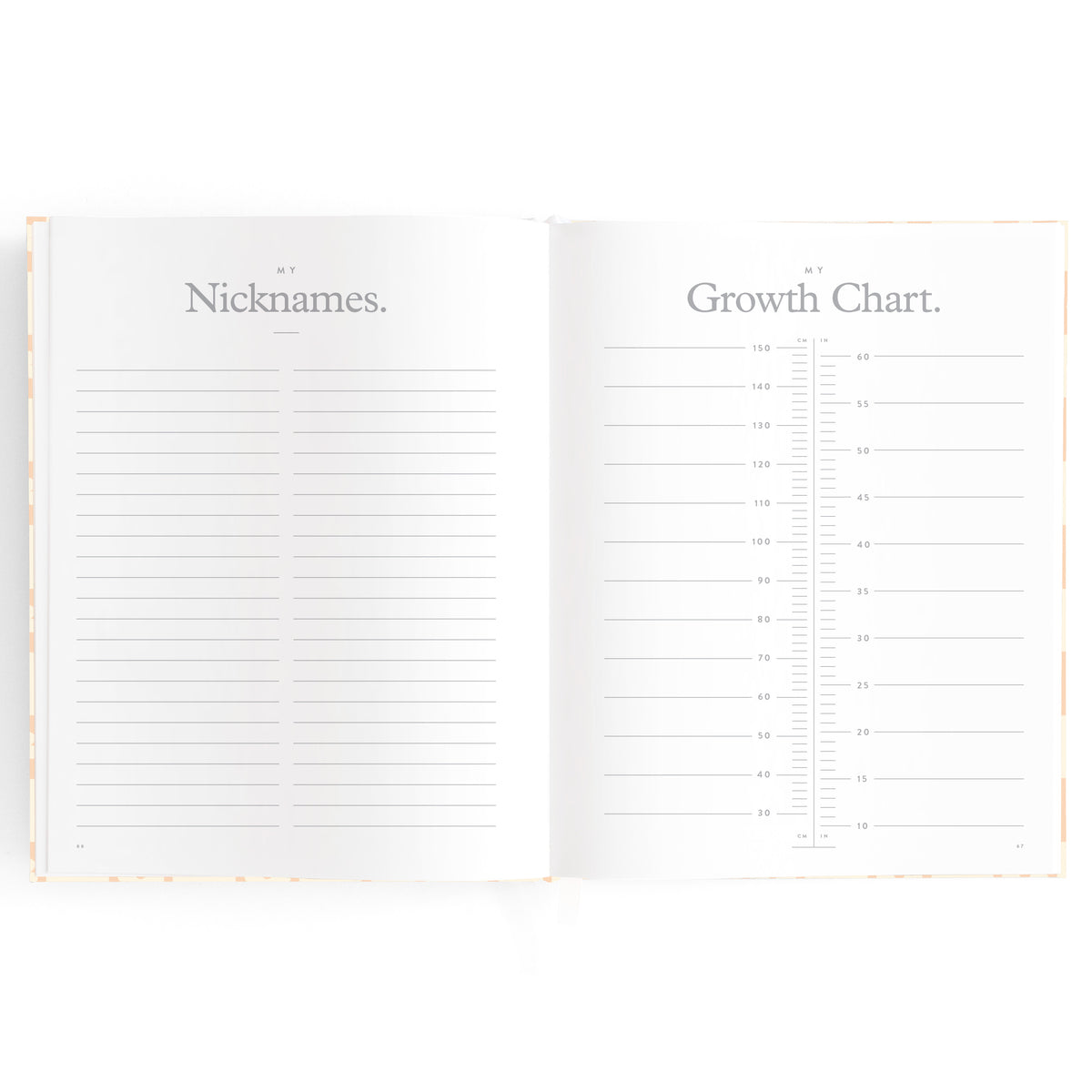 Baby Book Daisy Grid
