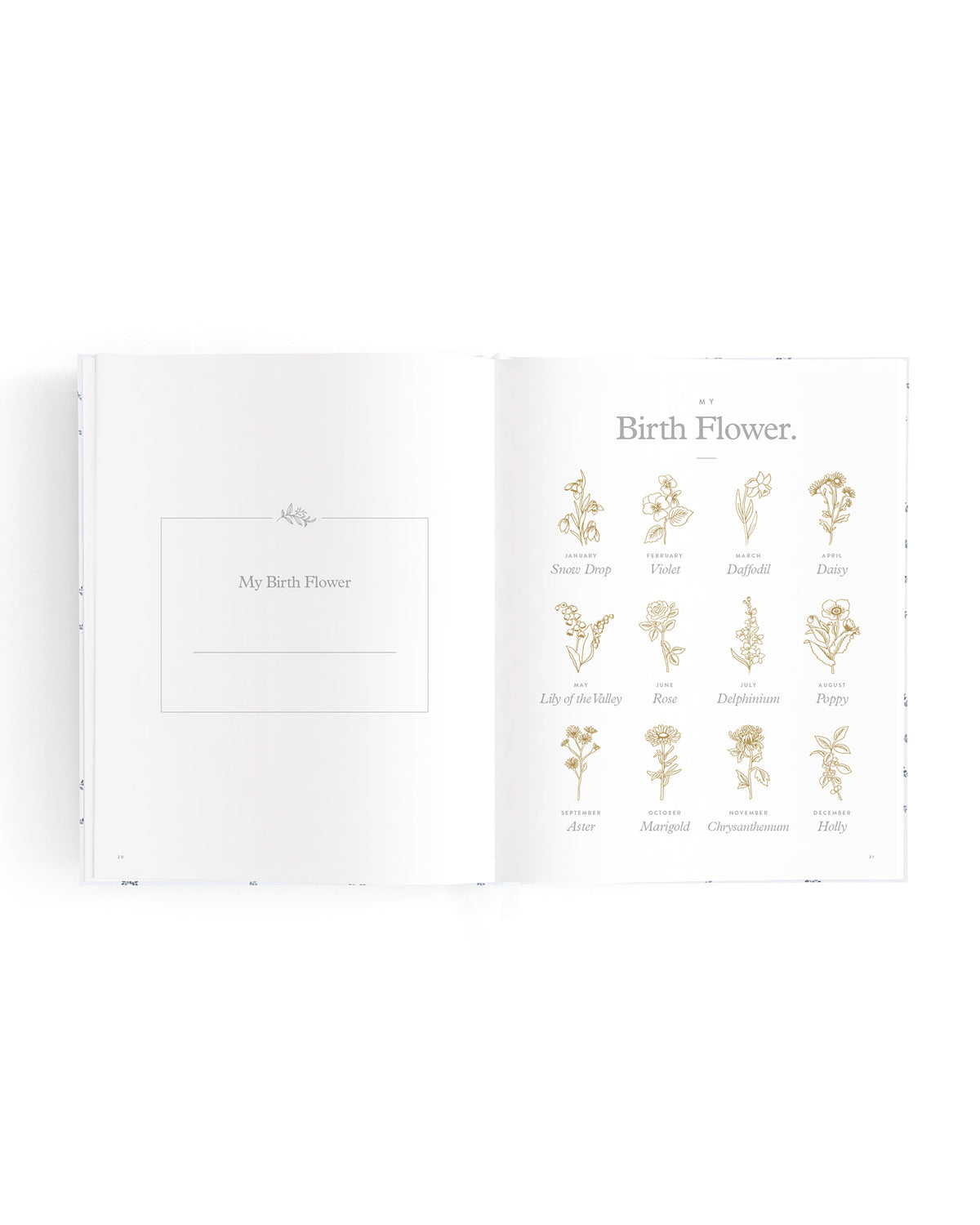Mini Baby Book | Bluebell