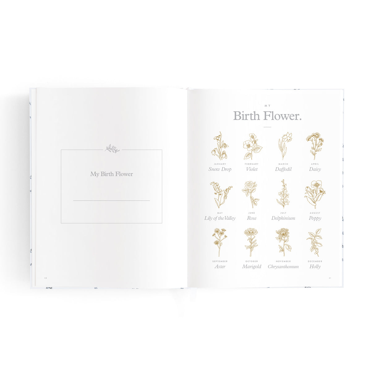 Mini Baby Book | Bluebell