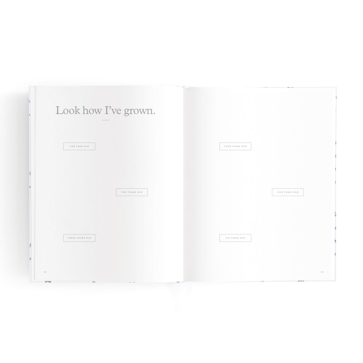 Mini Baby Book | Bluebell