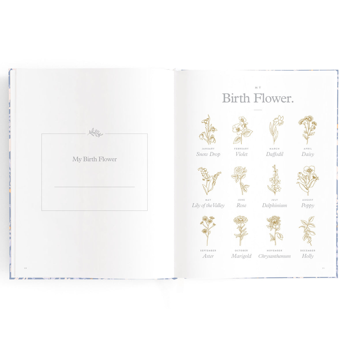 Baby Book Forest Friends Cornflower