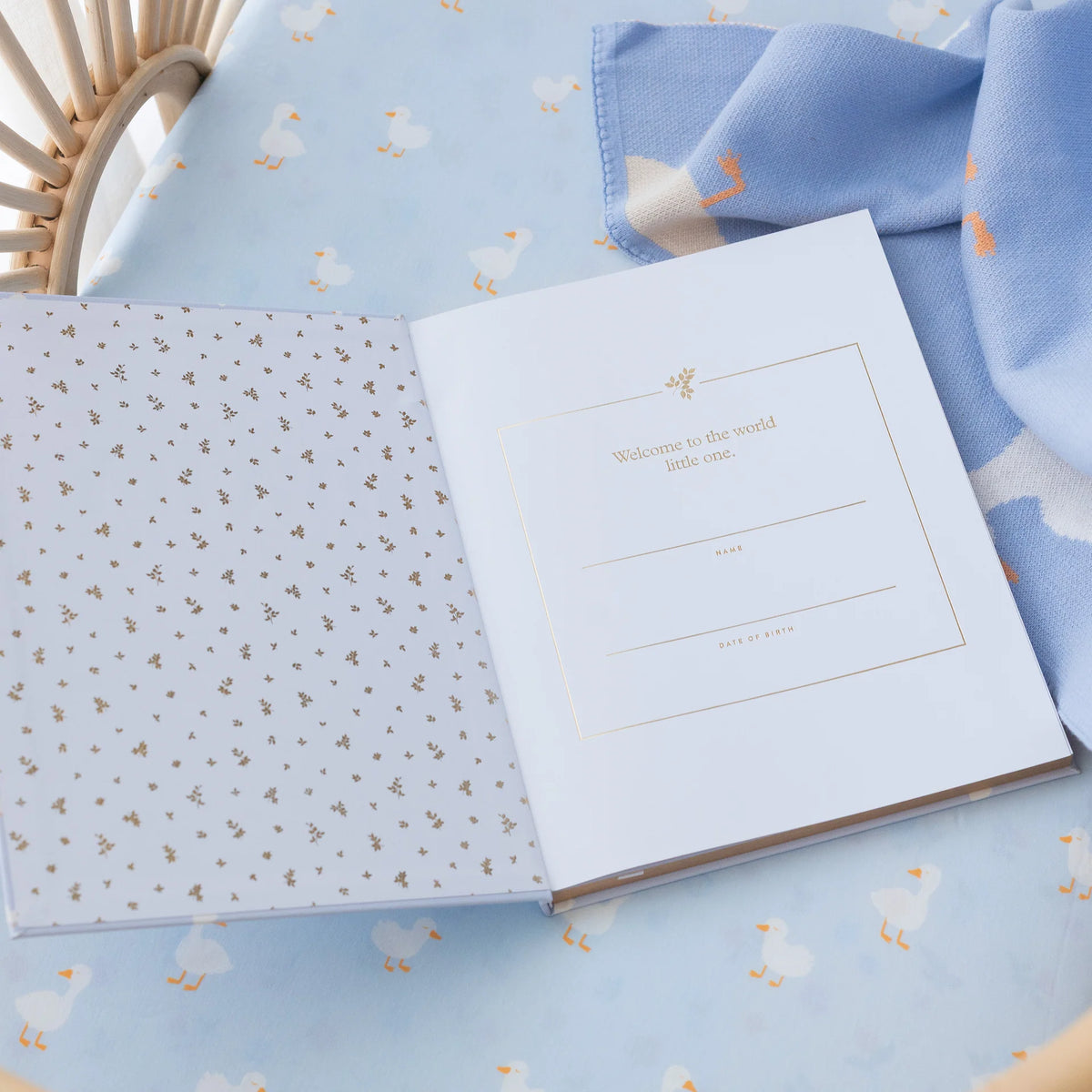 Baby Book Blue Ducks | 3rd Edition