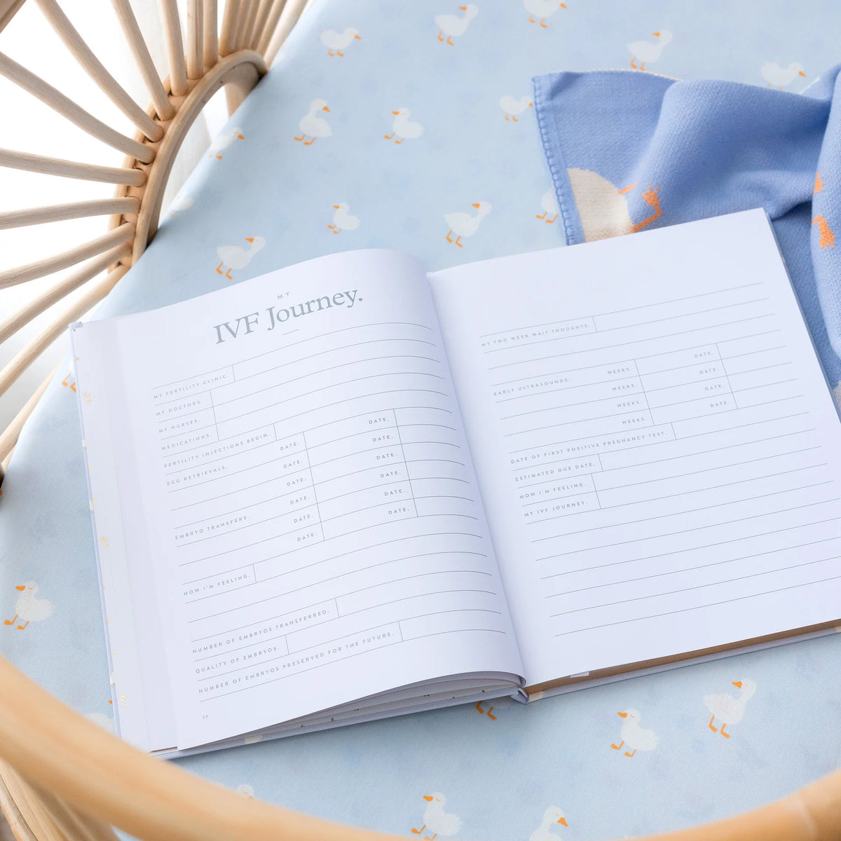 Baby Book Blue Ducks | 3rd Edition