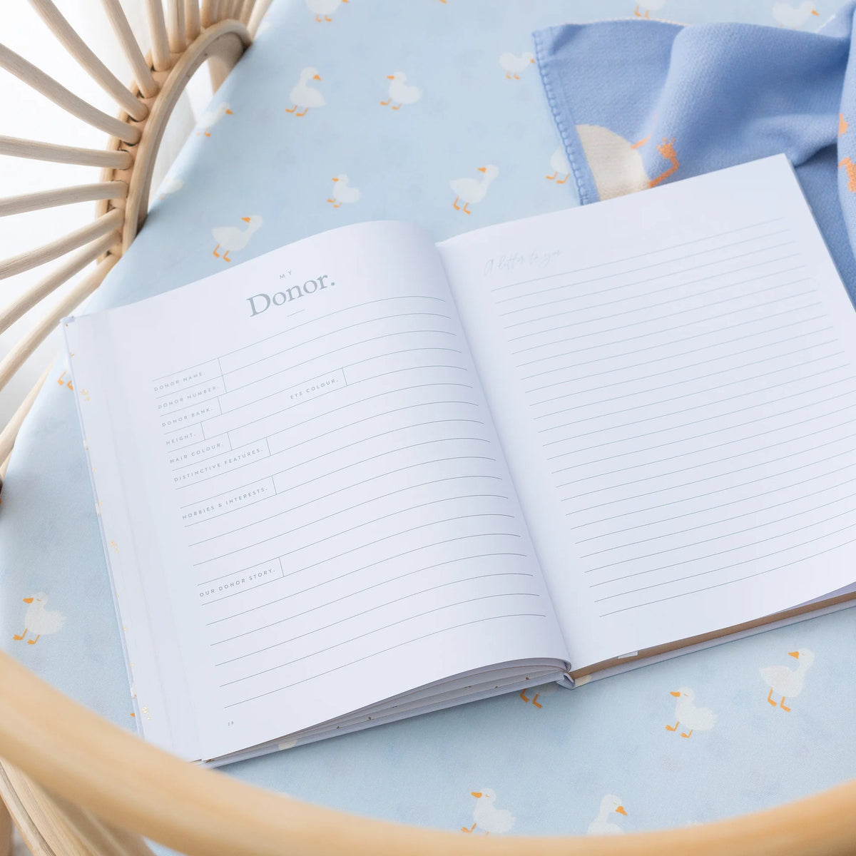 Baby Book Blue Ducks | 3rd Edition