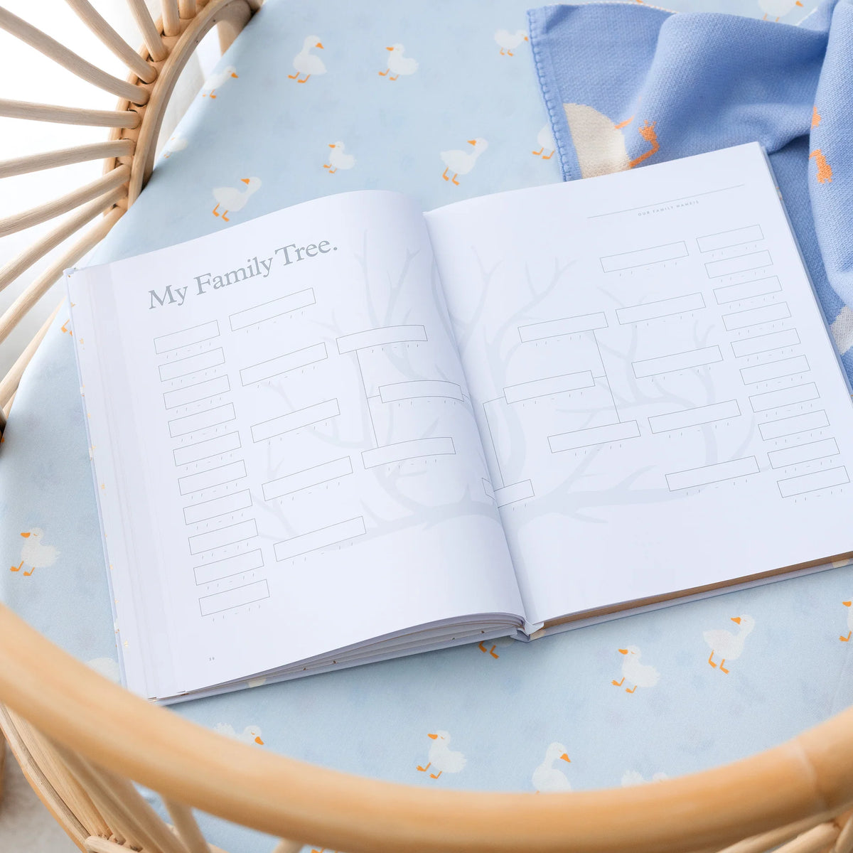 Baby Book Blue Ducks | 3rd Edition