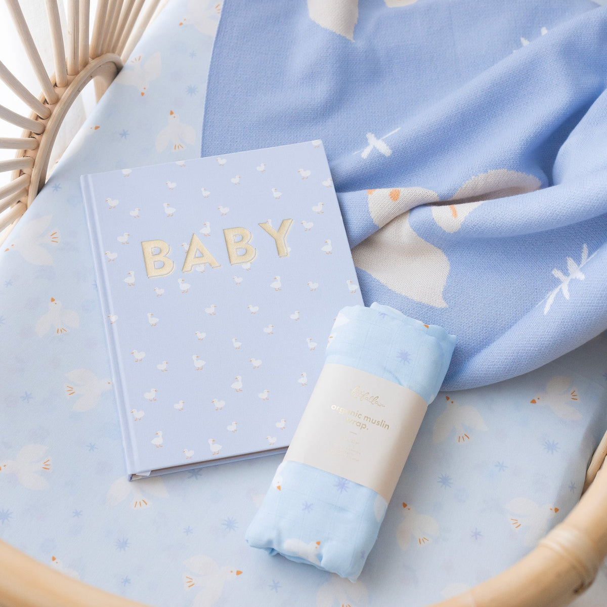 Baby Book Blue Ducks | 3rd Edition