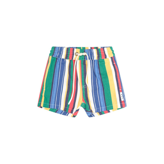 VARIEGATED STRIPE BOARDSHORT