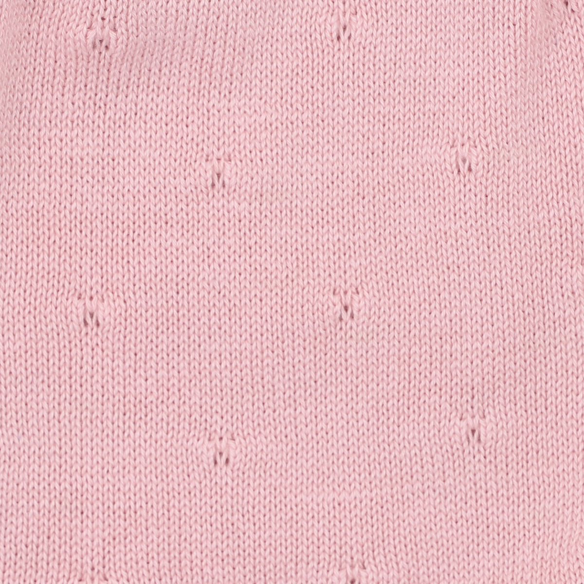 FERN ORGANIC POINTELLE KNITTED BODYSUIT