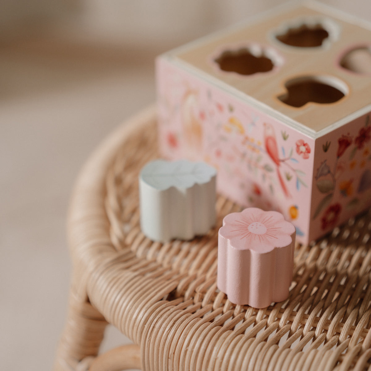 Fairy Garden Shape Sorter