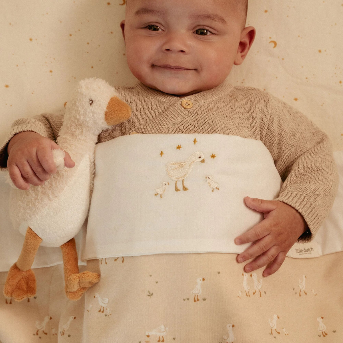 Soft Baby Goose Plush Toy | 17cm