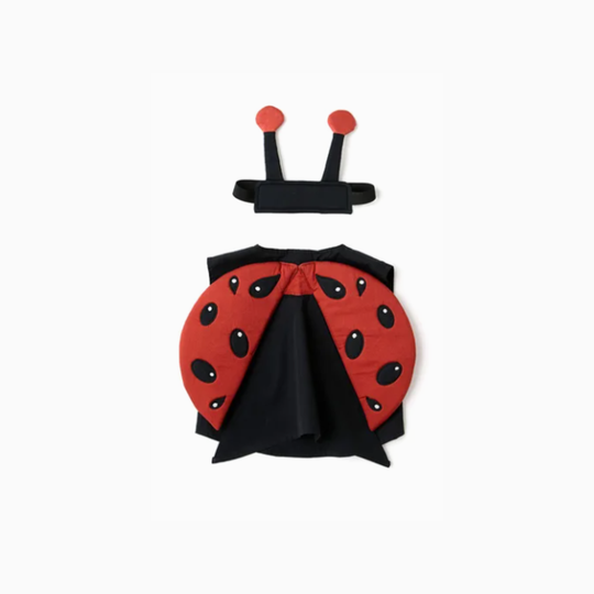 Kids Concept Ladybug Dress up