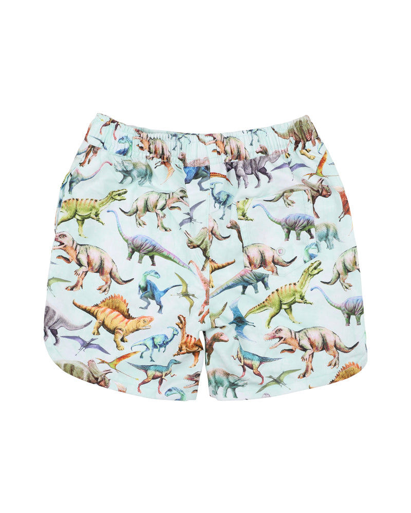 Rex Print Boardshorts