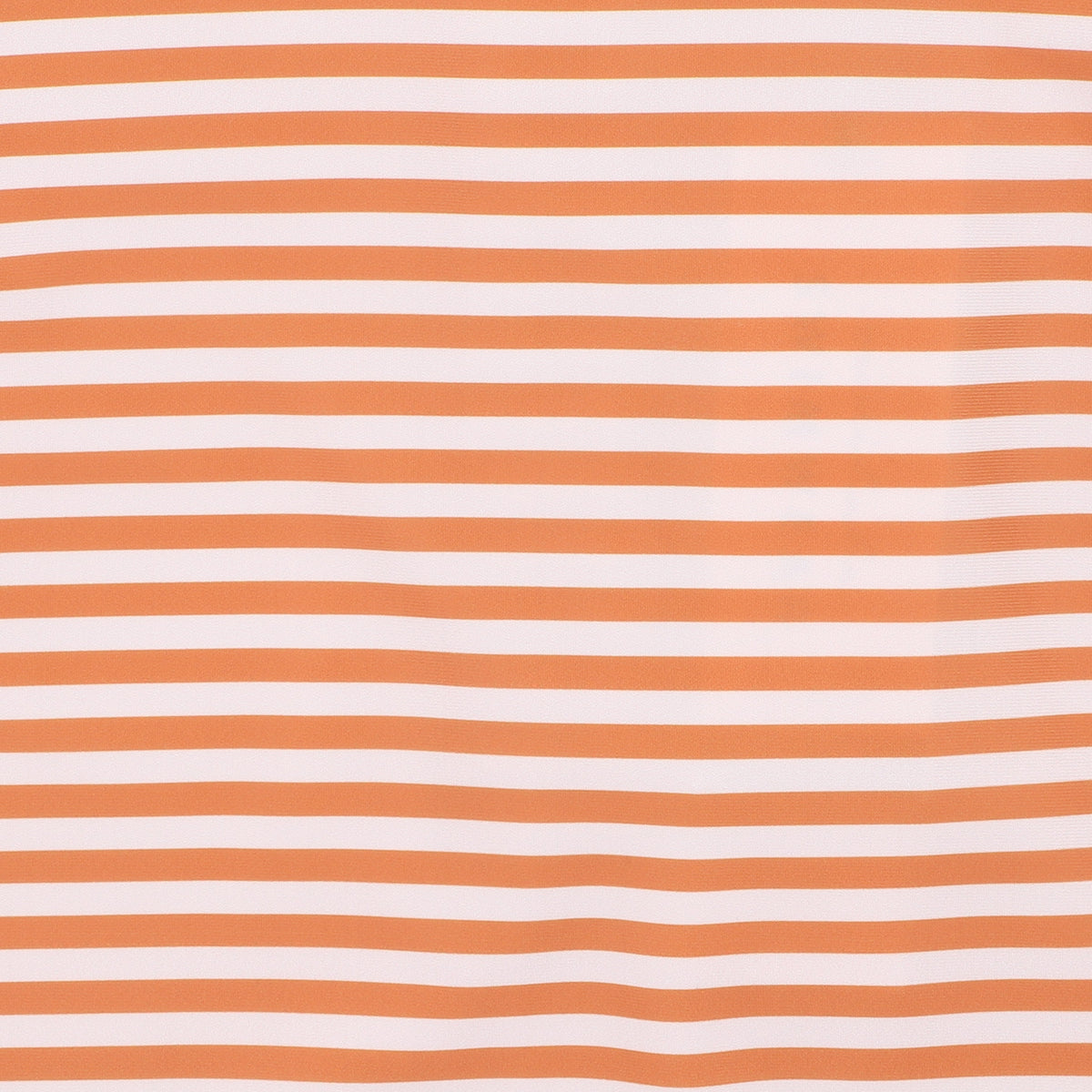 HARVEY STRIPE SS RASH SUIT