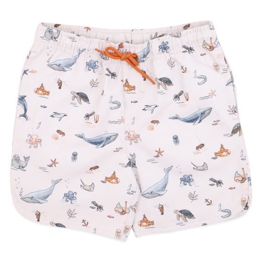 HARVEY BOARDSHORTS