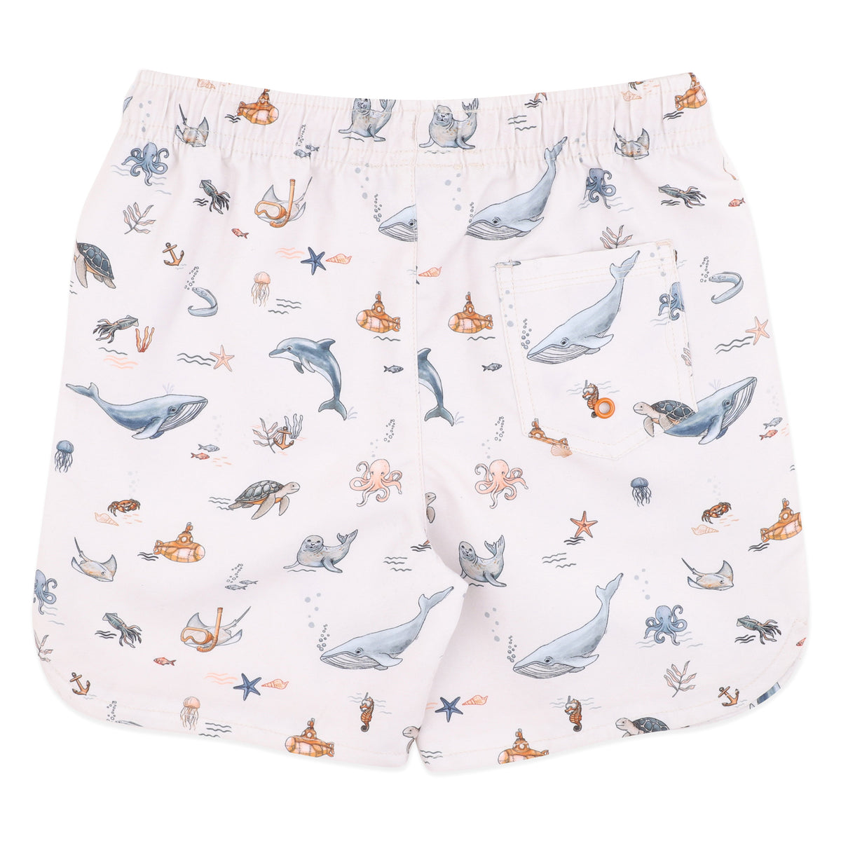 HARVEY BOARDSHORTS