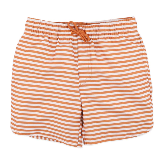 HARVEY STRIPE BOARDSHORTS