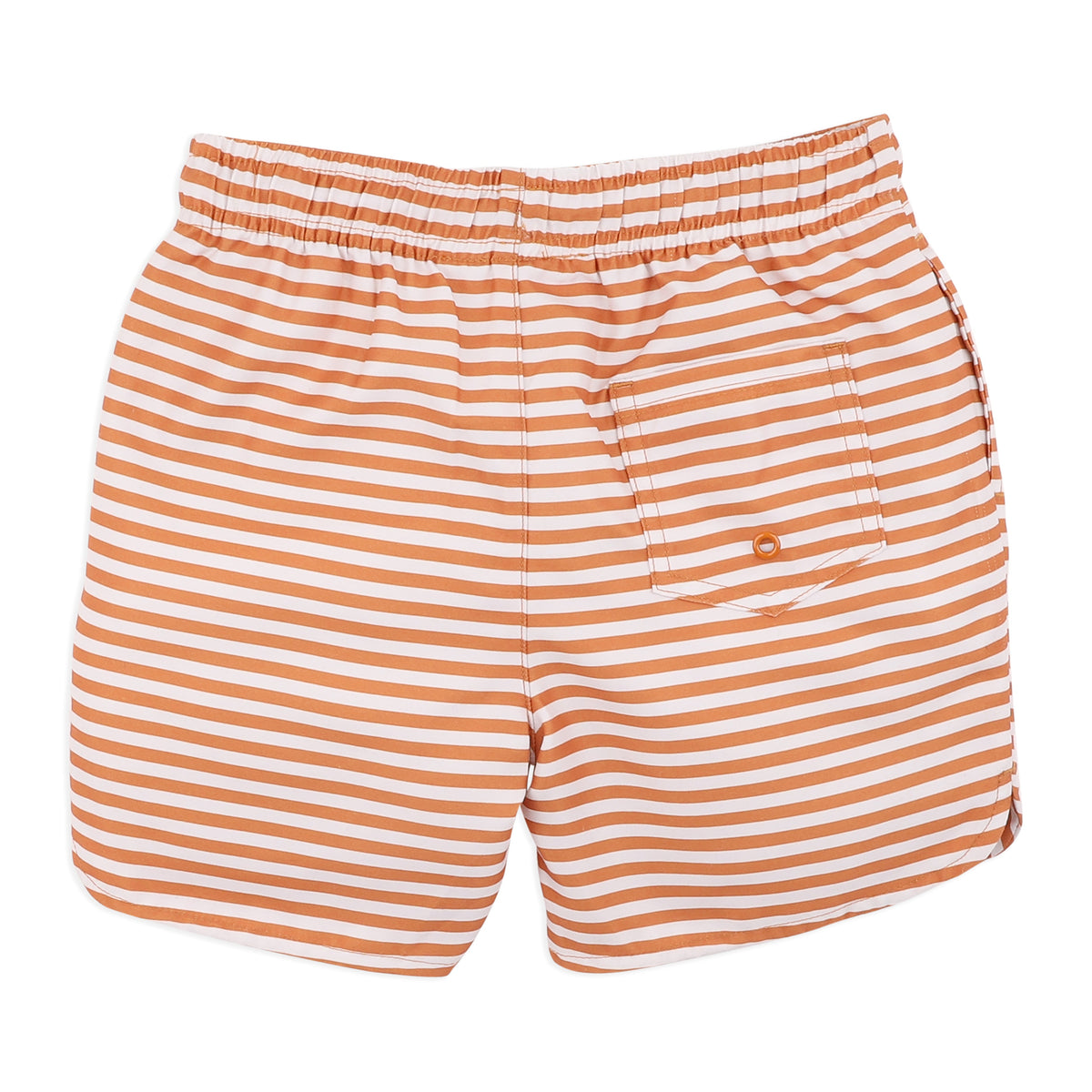 HARVEY STRIPE BOARDSHORTS