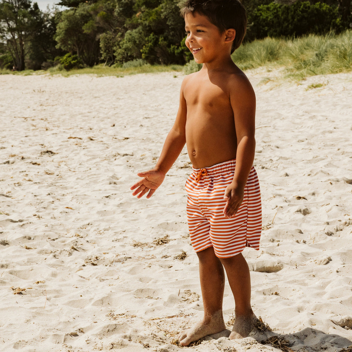 HARVEY STRIPE BOARDSHORTS