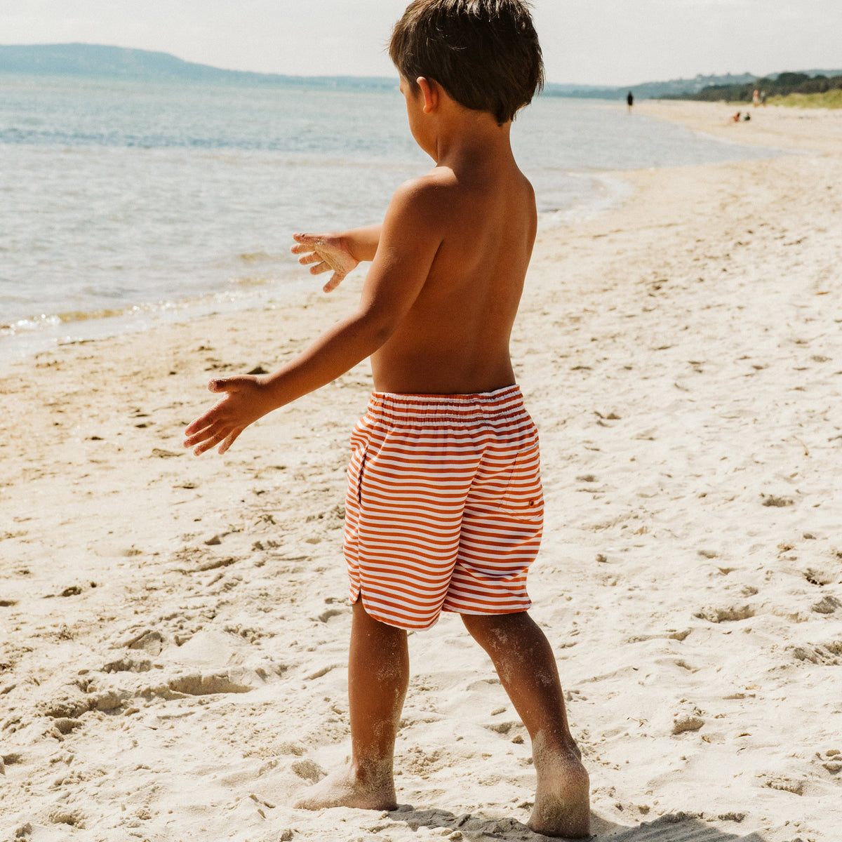 HARVEY STRIPE BOARDSHORTS