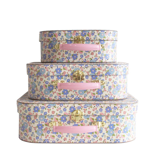 Kids Carry Case Set | Lilly Blue