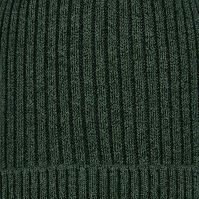 Organic Beanie Tommy | Pine