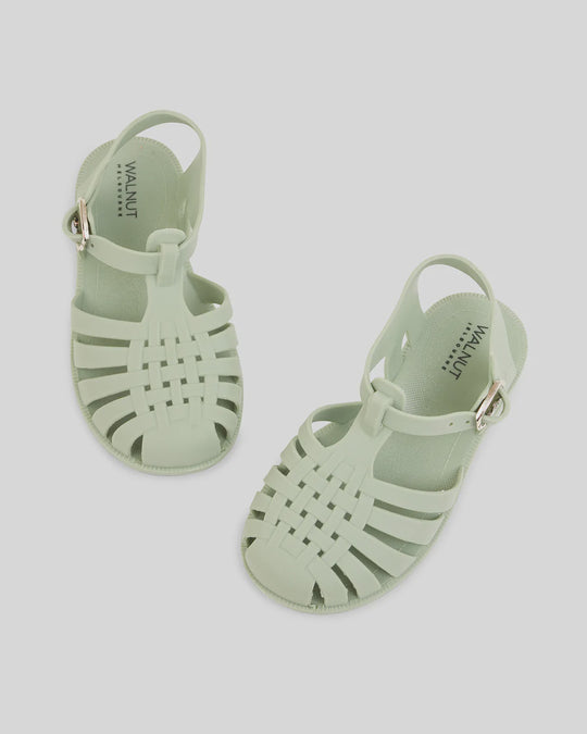 Rory Sandal | Sage