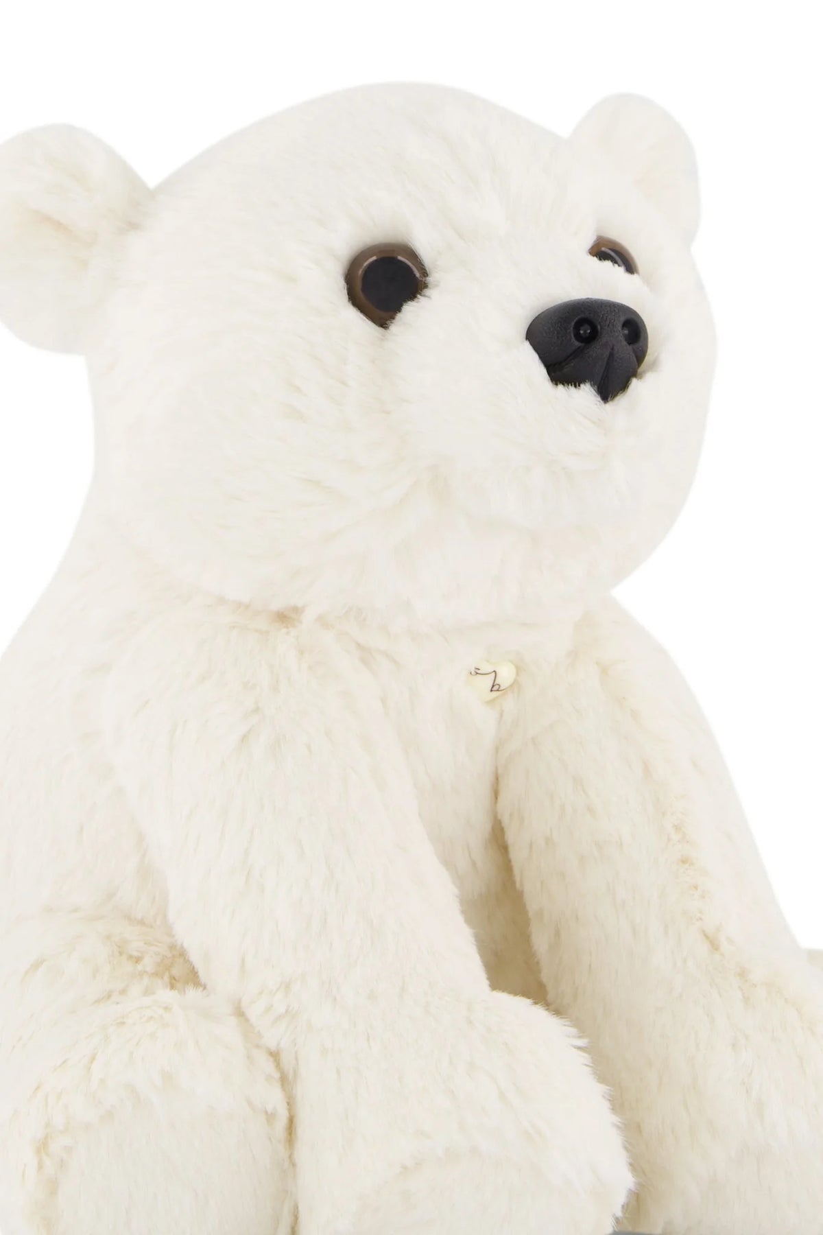 Parker The Polar Bear