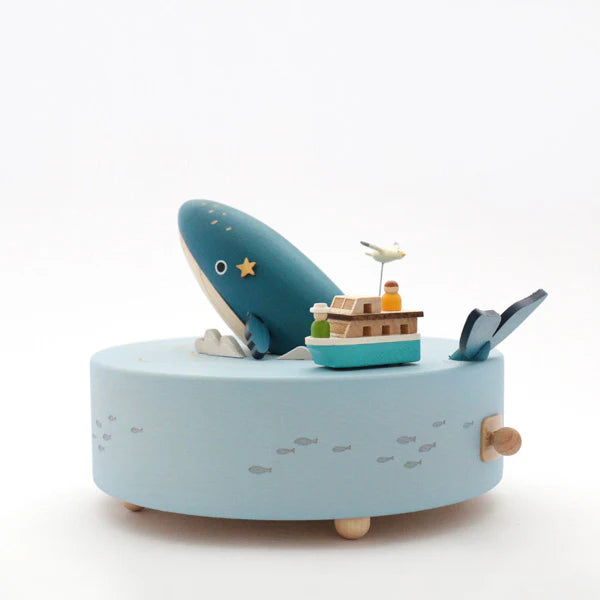 Whale Watching