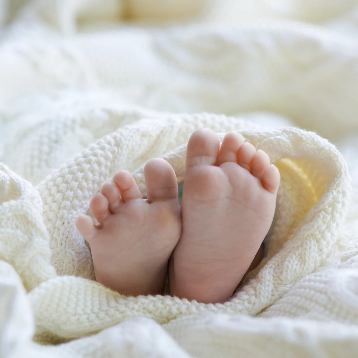 Organic Blanket Bowie | Cream