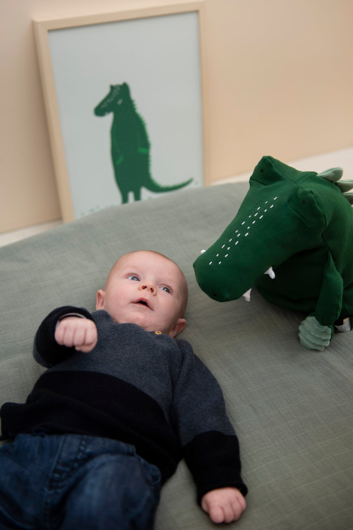 Organic Plush | Mr. Crocodile | Large