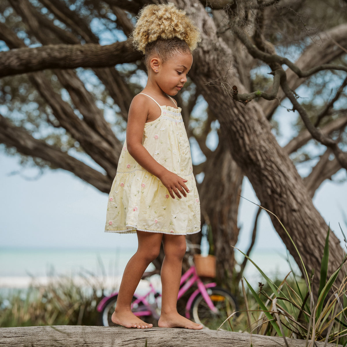 PIA ALL OVER EMBROIDERY DRESS 3-7Y