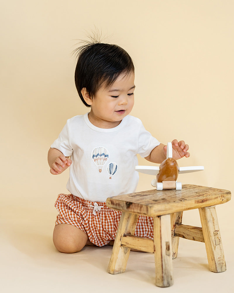 Harlan Hot Air Balloon 2 PCE Set