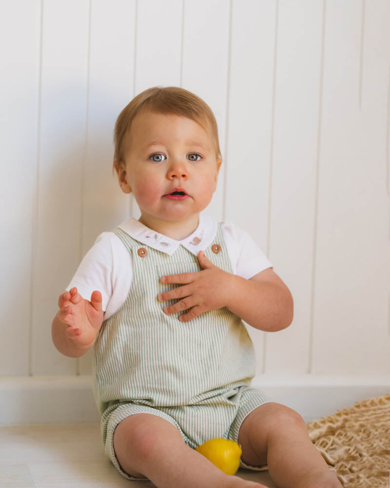 Roman Green Stripe Overalls